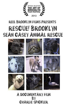 Rescue! Brooklyn Poster