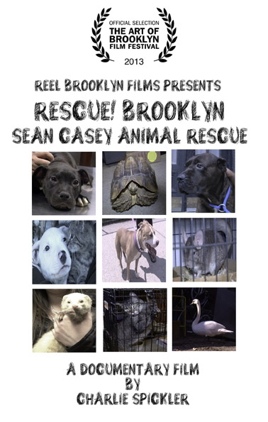 Gimme Shelter! Sean Casey Animal Rescue documentary 'Rescue